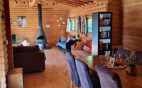 Our Log House In The Woods